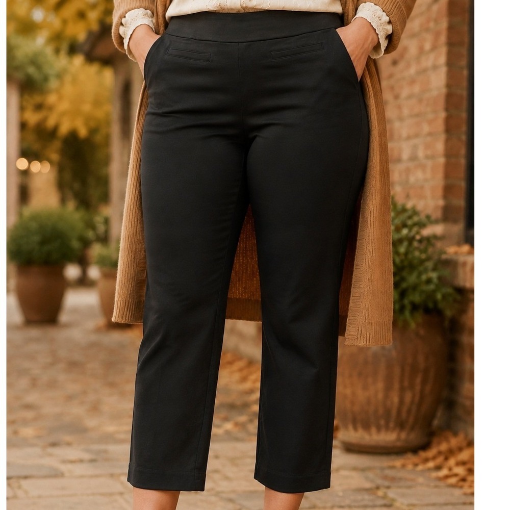 Wonderly Womens Black Pull On Cropped Stretch Pants Size 16 Business Casual